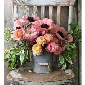 Meet your Posher, Jessjessica